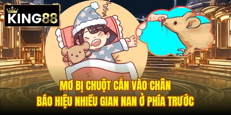 Mơ bị chuột cắn vào chân báo hiệu nhiều gian nan ở phía trước